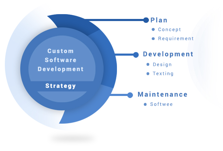 custom application development image